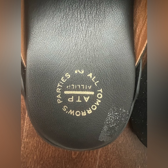 ATP Atelier Slide - Picture 3 of 5